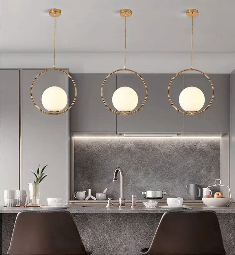 Circle-Shaped Hanging Light with Globe