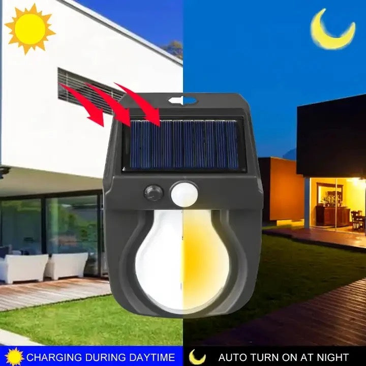 Solar Motion Sensor Light