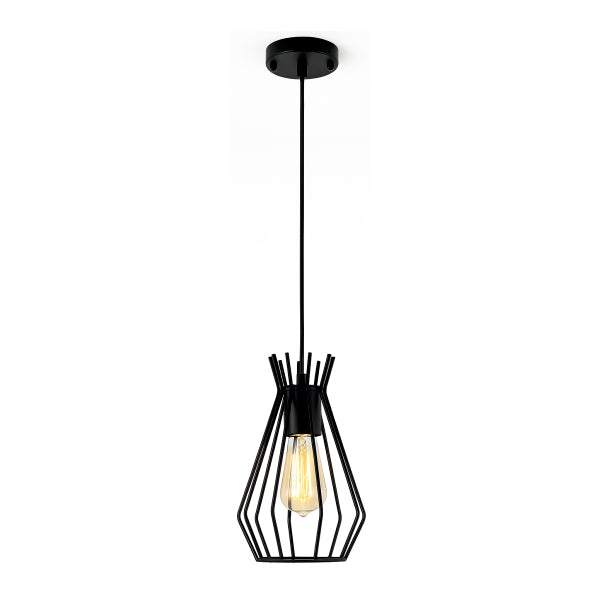 Iron wire cage pendant Lamp
