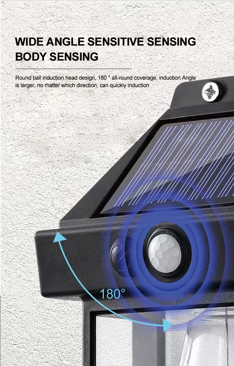 Single Solar motion Wall Light