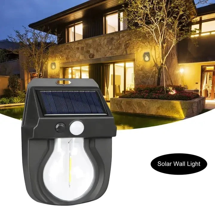 Solar Motion Sensor Light