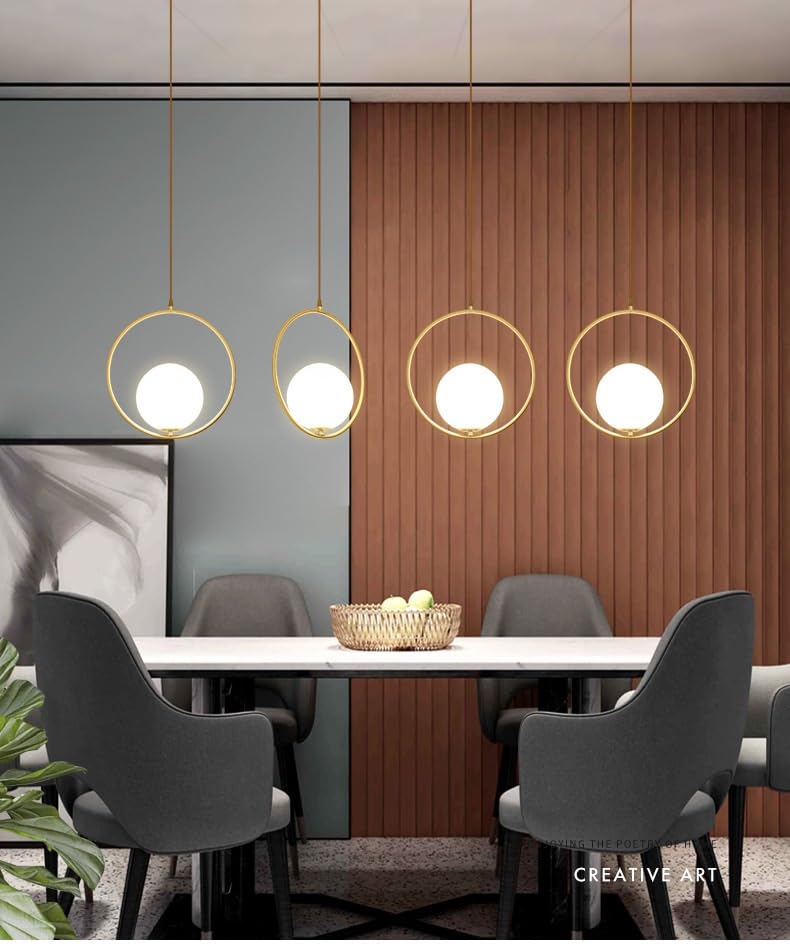 Circle-Shaped Hanging Light with Globe