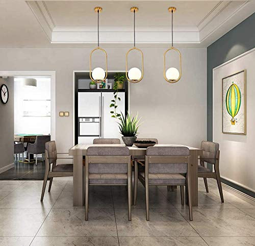 Oval-Shaped Hanging Light with Globe